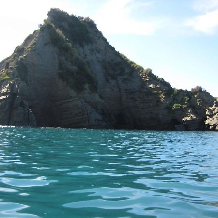 Bed and Breakfast Waipiro Bay Paradise Te Puia Exterior foto
