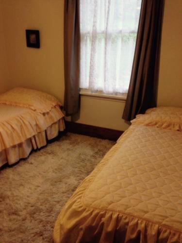Bed and Breakfast Waipiro Bay Paradise Te Puia Exterior foto