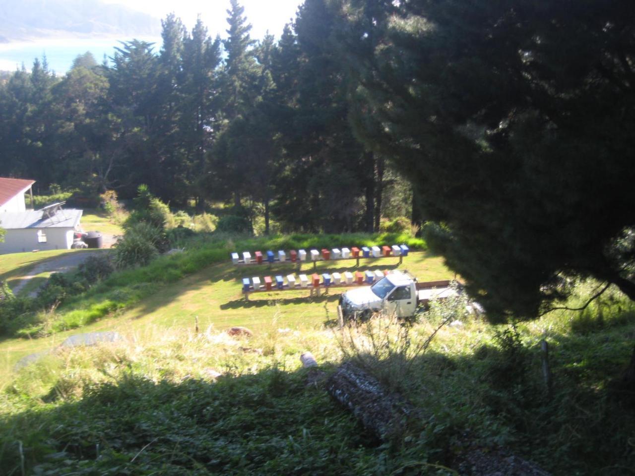 Bed and Breakfast Waipiro Bay Paradise Te Puia Exterior foto