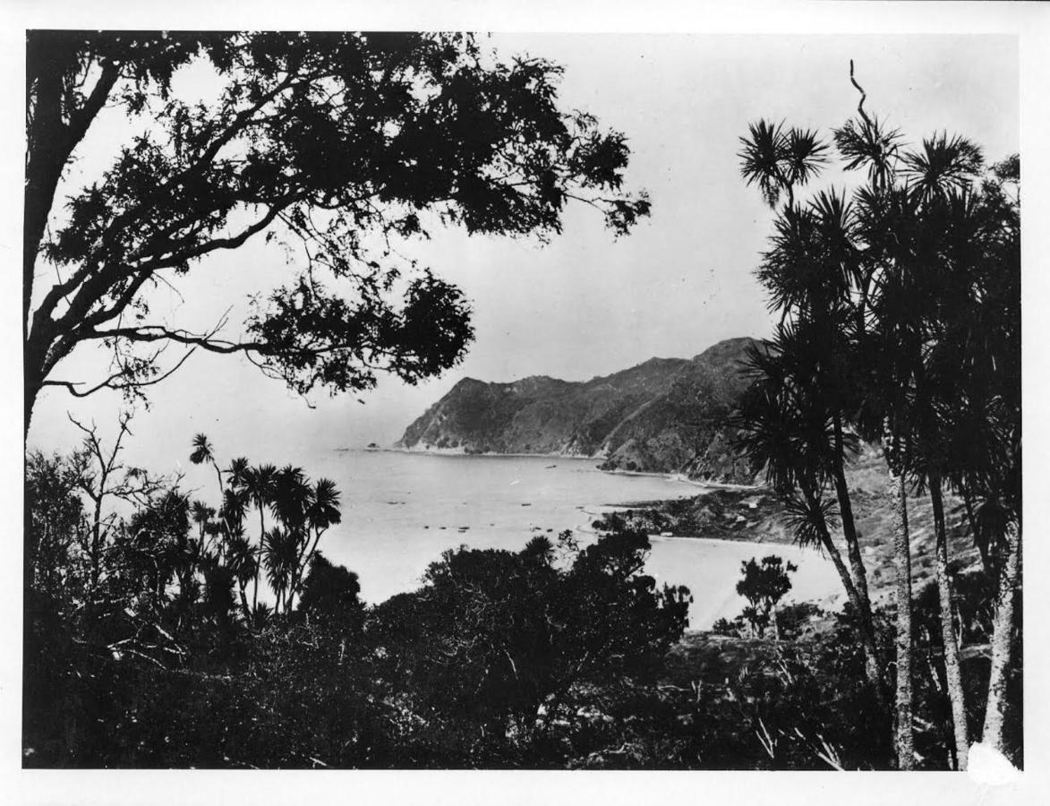Bed and Breakfast Waipiro Bay Paradise Te Puia Exterior foto