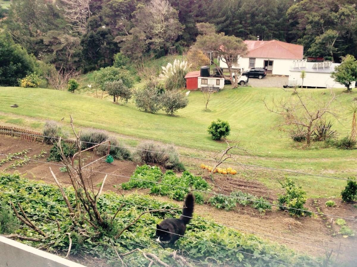 Bed and Breakfast Waipiro Bay Paradise Te Puia Exterior foto
